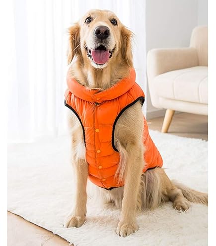 Amazon | ビッグ犬服秋と冬の暖かい犬服ゴールデンレトリバー