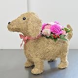 [花ぷらざ]生花 ドッグバスケット ピンクカラーアレンジメント フラワーギフト 花ギフト プレゼント