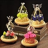 Engdo（TM）ユニーク＃75146 クリアガラスの花瓶ポットウッドベースカバーホームデコレーションウェディングギフト