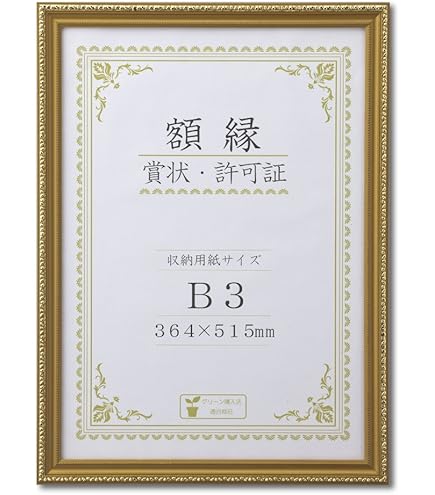 Amazon | 大仙 額縁 賞状額 金ラック R B3 樹脂製 箱入 J335B4400 