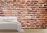 wall26 自己粘着性ウォールペーパー 大きな壁 壁画シリーズ 100"x144" WMR-WP-X-C218-100x24x6