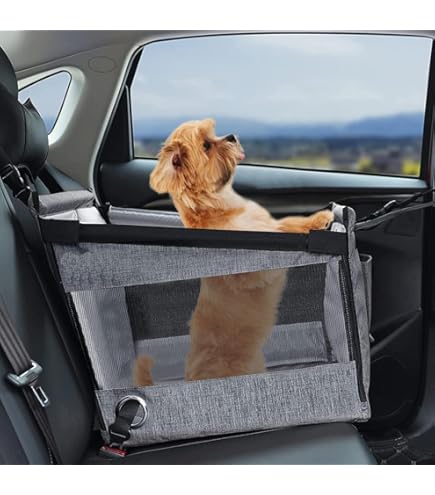 Amazon.co.jp: [QINTIW] ドライブボックス 大型犬 車用ペットシート