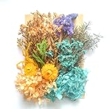 ハンドメイド材料 花資材 小分け ハーバリウム プリザーブドフラワー ドライフラワー クラフト 花材セット 手作りミニ押し花ド 小さめ繊細で オリジナル素材アクセサリー製作（ブルー）