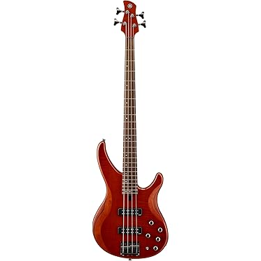 Prolyte プレビジョン モデルエレキベース レッド 4弦状態 良好 imgrc0089980225.jpg