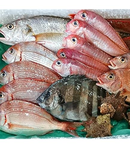Amazon.co.jp: 築地魚群 太刀魚（たちうお）1尾（1-1.5kg） : 食品