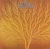 �X�e�B���E���C�t(�v���`�iSHM)