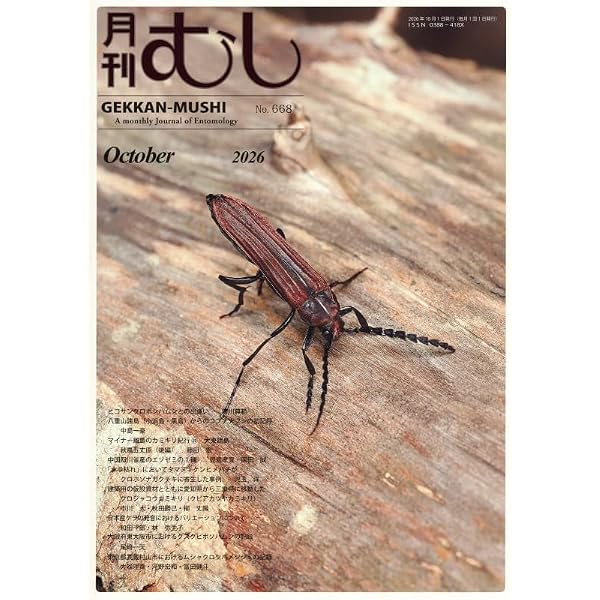 世界のタマムシに魅せられて | 林 昌利 |本 | 通販 | Amazon
