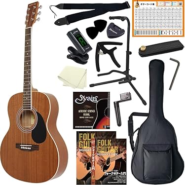 Takamine ギター（ソフトケース付き）＋おまけ（フォークギター入門コース） 楽天市場】【楽天1位常連！5倍Pあり・大人気の初心者ギター