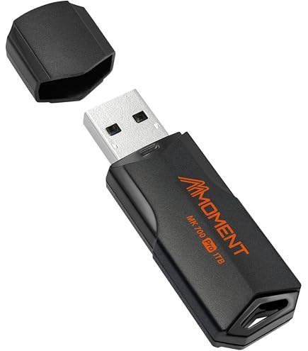 Amazon.co.jp: LinkMore 超高速 USBメモリ 1TB USB3.2(Gen2) SSD外付け 