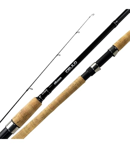 Daiwa DRAGGER X 100H-3 Shojiging Rod : Amazon.com.au: Sports