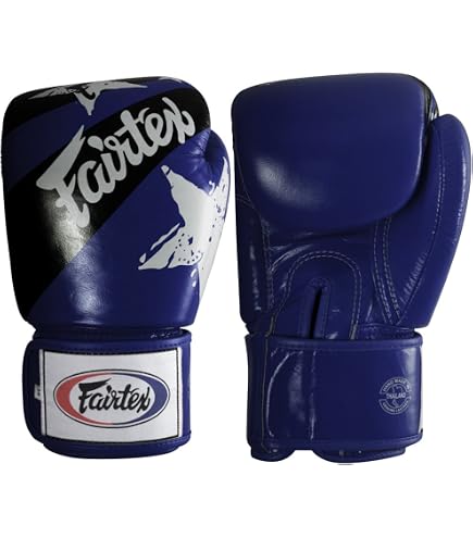 Amazon | Fairtex ムエタイスタイル トレーニングスパーリンググローブ