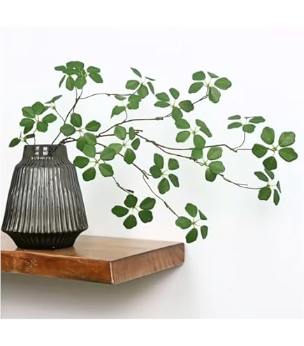 Amazon｜アセビ 枝もの 枝 3本セット 馬酔木 インテリア グリーン 生花