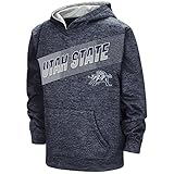 ユースNCAAユタ州立アギーズプルオーバーパーカー(Team Color) X-Large (20) with Name Printed on the Back