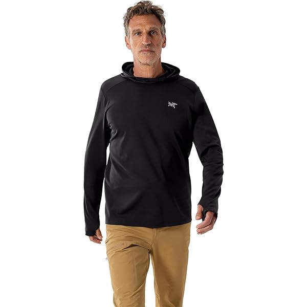 Amazon.co.jp: [アークテリクス] Rho LT Zip Neck Men's ロー LT