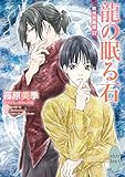 龍の眠る石 欧州妖異譚17 (講談社X文庫)