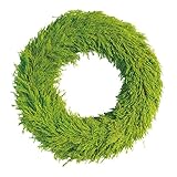 ホワイエ プリザーブドグリーン TPライトグリーンサイプレスリース 46cm 8s50028