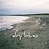 The Cheserasera「dry blues」