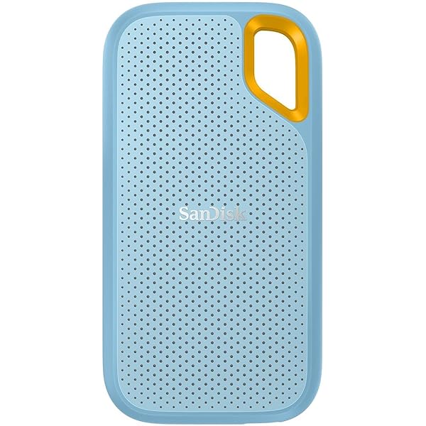 Amazon.co.jp: RLSOCO 収納ケース SanDisk PortableSSD 500GB 1TB 2TB 