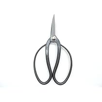 61qhc7SY0tL._AC_UL210_SR210,