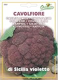野菜の種 カリフラワー・シシリアバイオレット
