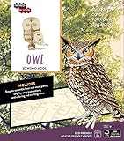 Cover of Incredibuilds: Owl 3D Wood Model