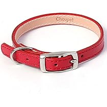 frida Firenze 犬の首輪　犬　ペット　散歩　レザー　赤 frida Firenze 犬の首輪 犬 ペット 散歩 レザー 赤 - 首輪