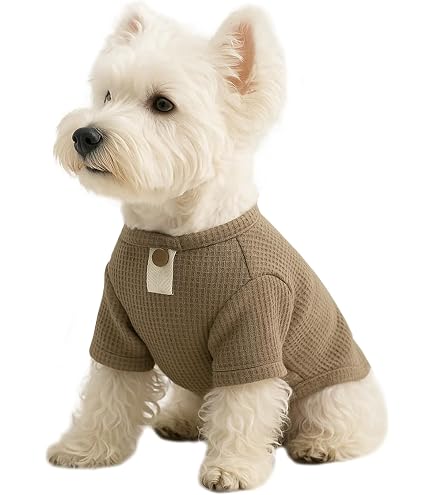 Amazon | ペット服 横浜DeNAベイスターズ 犬服 猫服 パーカー ドッグ
