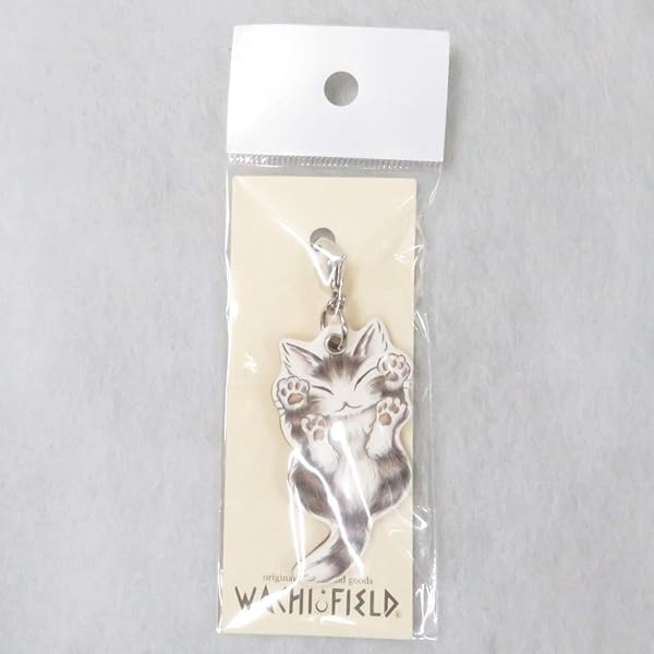 猫のダヤン わちふぃーるど リング皿 アクセサリートレー　　レア 猫のダヤン わちふぃーるど リング皿 アクセサリートレー レア 置物