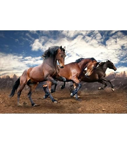 Amazon | 「イクイノックス」6冠記念Ver.ジグソーパズル500ピース