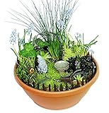 RSR Industries RSR6220 Echo Valley Gnome Garden Starter Accessory Kit