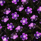 LE? Solar Flower Fairy String Lights 50 LEDs 16.5ft, Waterproof, Purple Violet, Portable, Blossom Fa