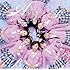 AKB48「桜の木になろう(通常盤Type-B)」