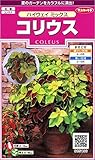 サカタのタネ 実咲花5196 コリウス ハイウェイミックス 00905196 10袋セット