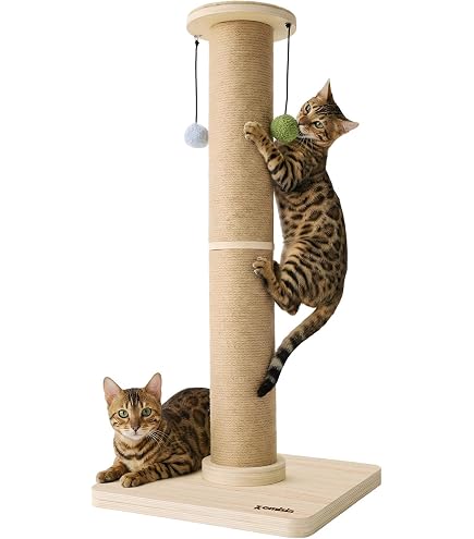 Amazon.co.jp: ペットアイ 爪とぎタワー サボテン フラワー 57×57×高さ