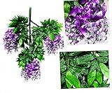魔法使いハウルと火の悪魔® 26 "のセット12 Artifical Wisteria文字列Hangingシルクフラワーガーデン花柄のデコレーション文字列DIYリビングルームHanging Flowe