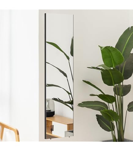 Amazon.co.jp: エバニュー フィルムミラー移動式120 EKK005 : ホーム