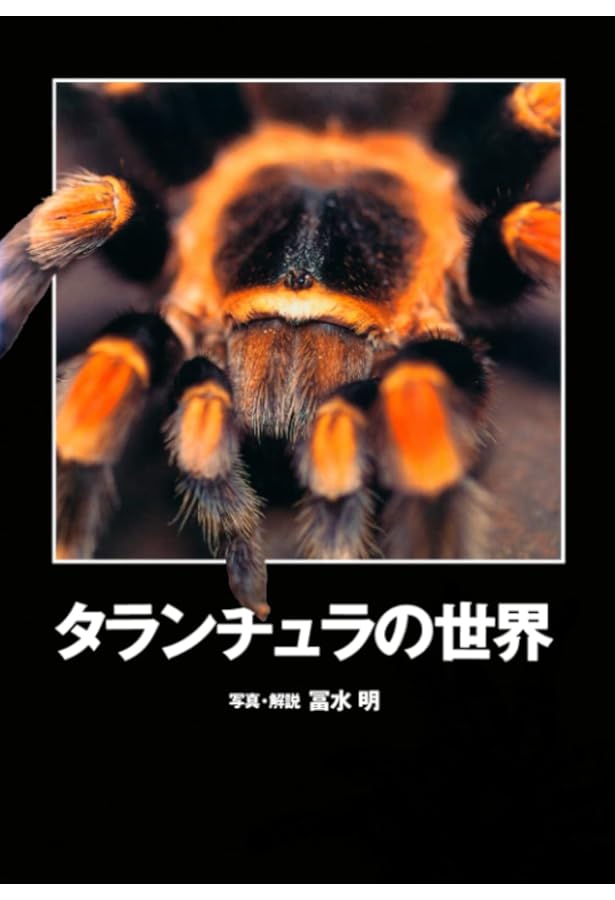 タランチュラ&サソリ (節足動物ビジュアルガイド) | 相原 和久, 秋山