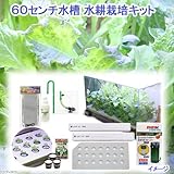 60センチ水槽用 水耕栽培キット 水耕栽培 野菜 家庭菜園