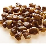 いかり豆 1kg フライビンズ フライ空豆 いかり豆 イカリ豆 そらまめ 花豆 赤穂の焼き塩でまろやか仕立て