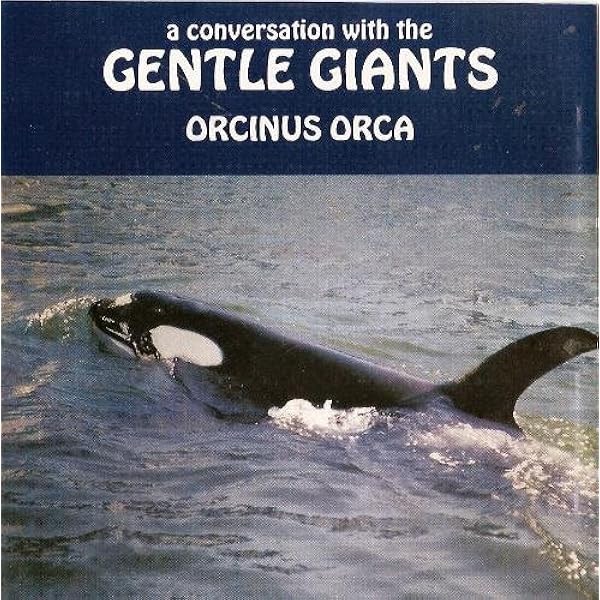 英プログレ Gentle Giant 紙ジャケットボックスセット Amazon.co.jp: ジェントル・ジャイアント(紙ジャケット仕様