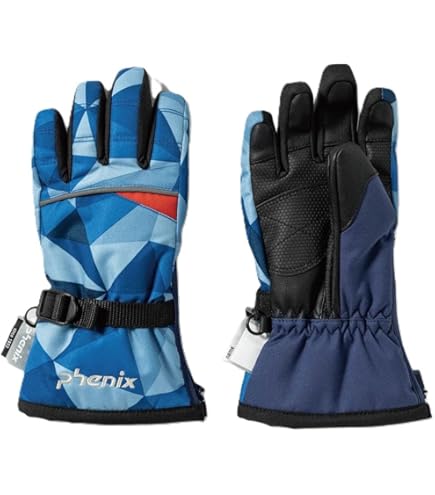 Amazon.co.jp: [フェニックス] スキー スノーボード グローブ ボーイズ