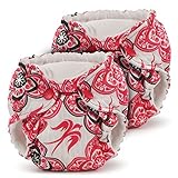 Lil Joey 2 Pack All in One Cloth Diaper, Destiny by Lil Joey [並行輸入品]