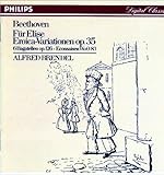 �x�[�g�[���F��:�G���C�J�ϑt�ȁA�G���[�[�̂��߂�