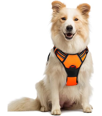 Amazon | ciiron TOKYO ハーネス 全国 日本製 犬 小型 犬 中型犬 大型