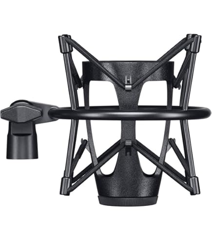 Amazon | SHURE コンデンサーマイク ボーカル用 楽器用 KSM32/CG