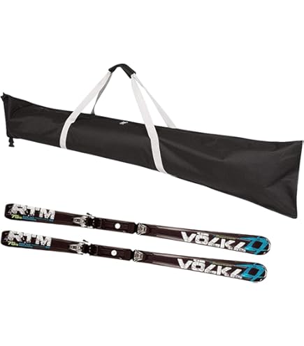 Amazon.co.jp: HEAD(ヘッド) スキー スノーボード キャリー