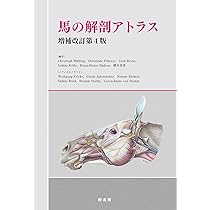 牛の解剖アトラス 第二版 増補改訂版 牛の解剖アトラス 増補改訂第2版 株式会社 緑書房
