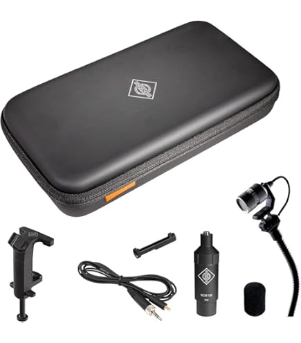 Amazon.co.jp: DPA Microphones DPA 4099-DC-1-199-G 楽器用 高感度