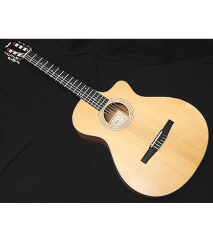 Taylor Grand Auditorium 214ceアコースティックギター Amazon | Taylor 214ce Grand Auditorium Spruce/Walnut Natural