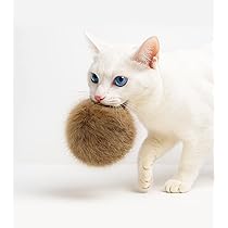 Amazon | HOLYCAT 猫 おもちゃ ボール 猫のおもちゃ コロコロ 天然 無